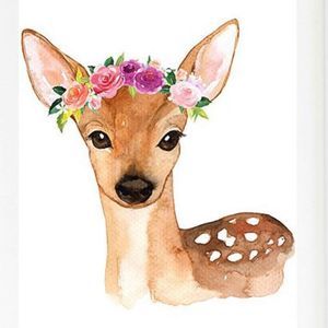 Meet your Posher, Sandy